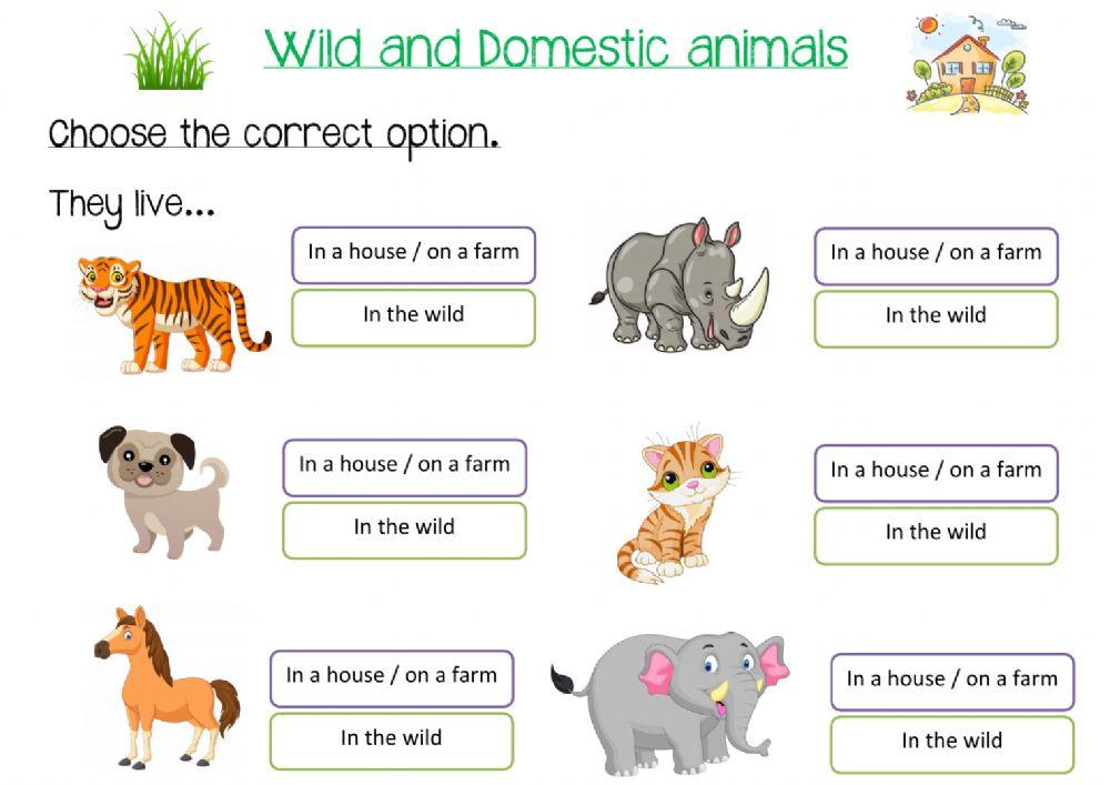 Animals habitats