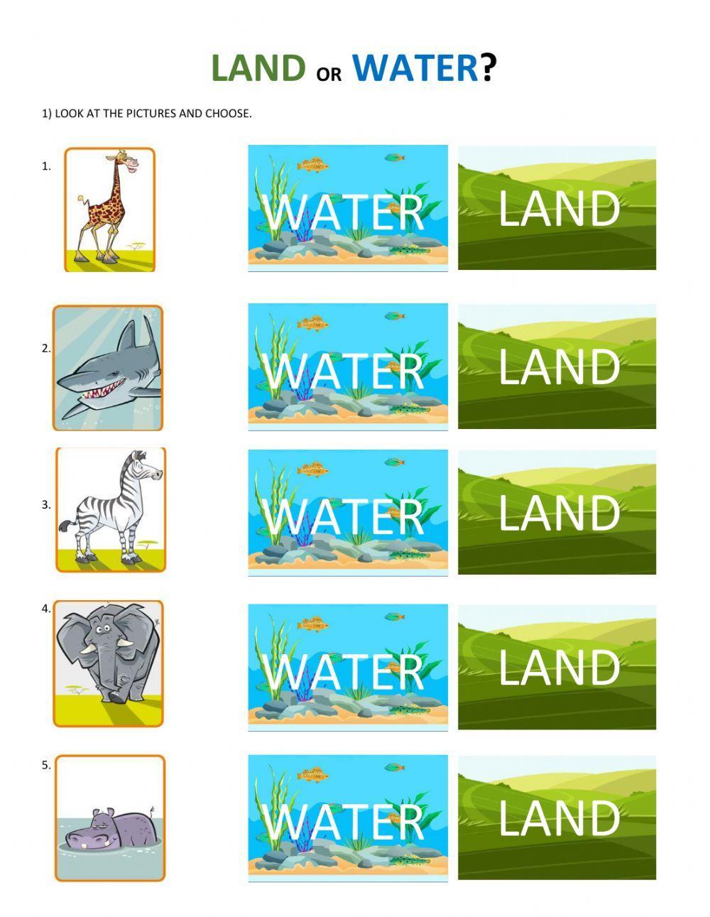 Land or water