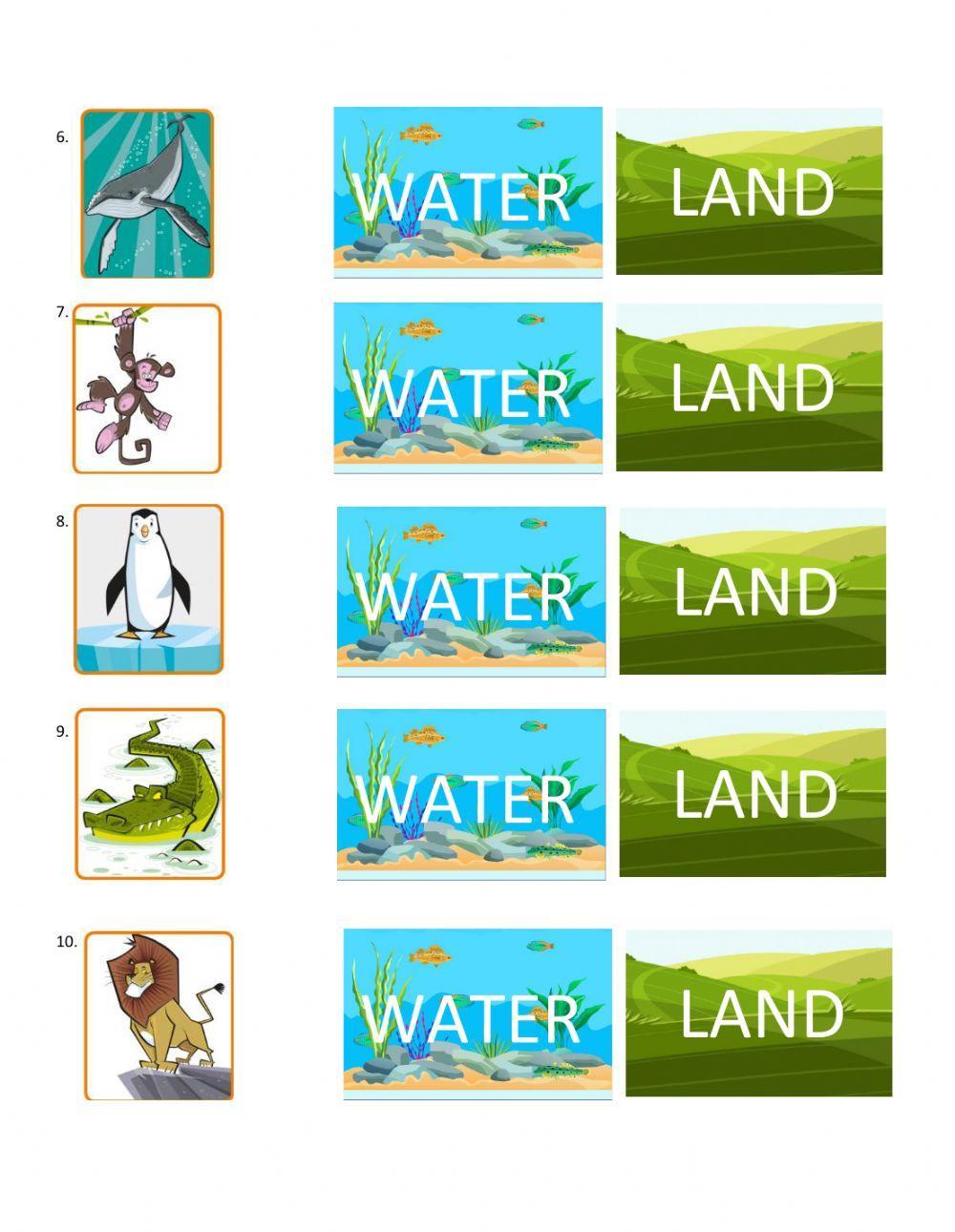 Land or water
