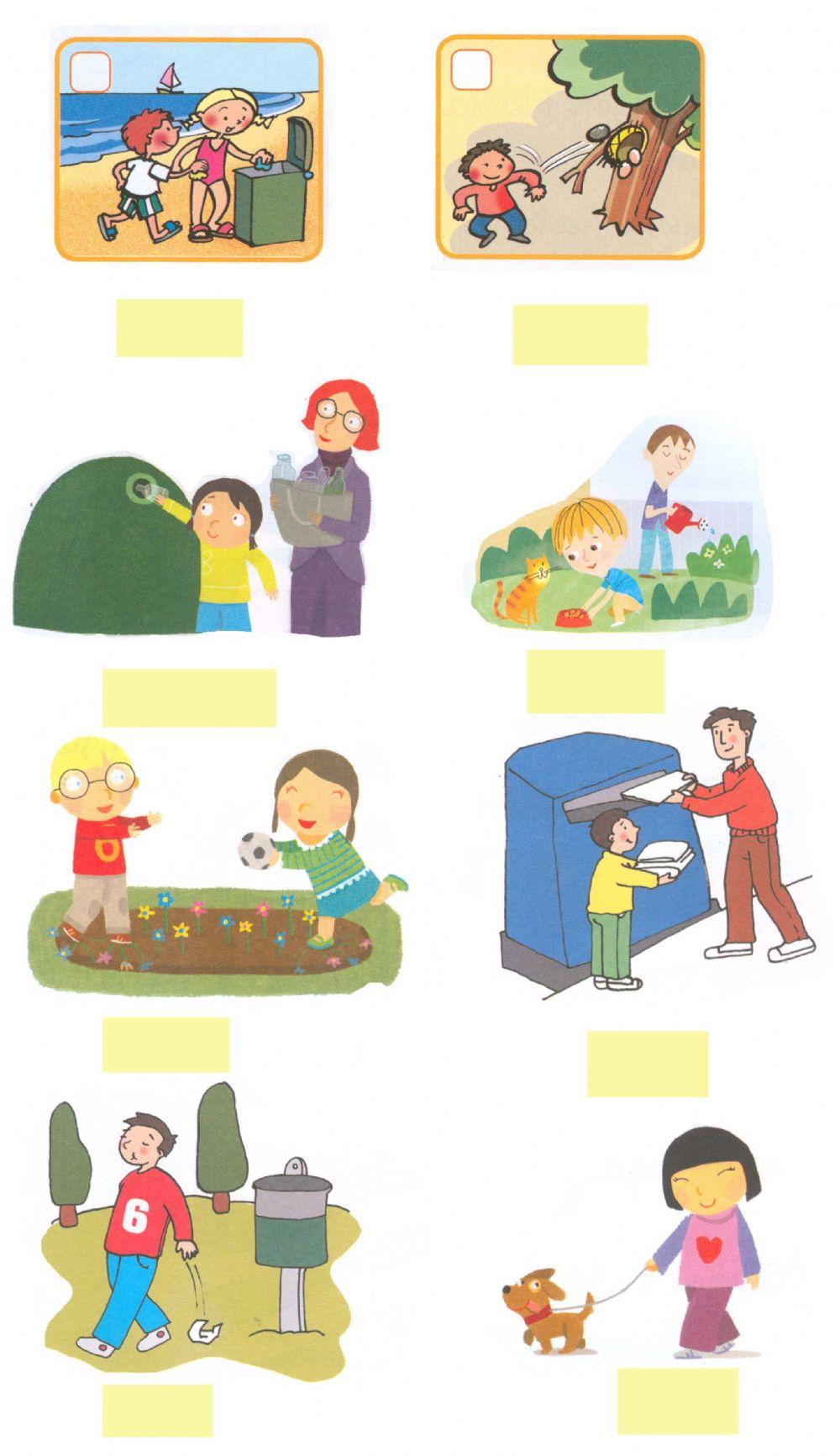 Cuidamos la creación