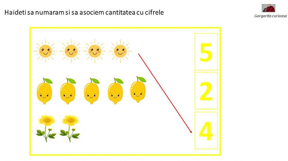 Asociază cifra și mulțimea