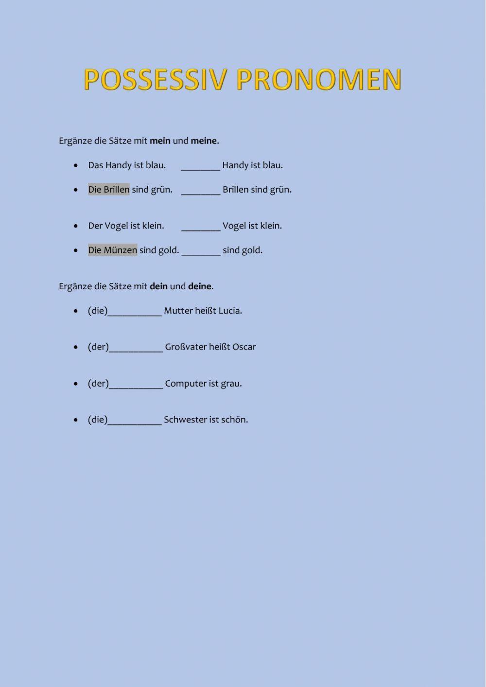 Possessiv Pronomen