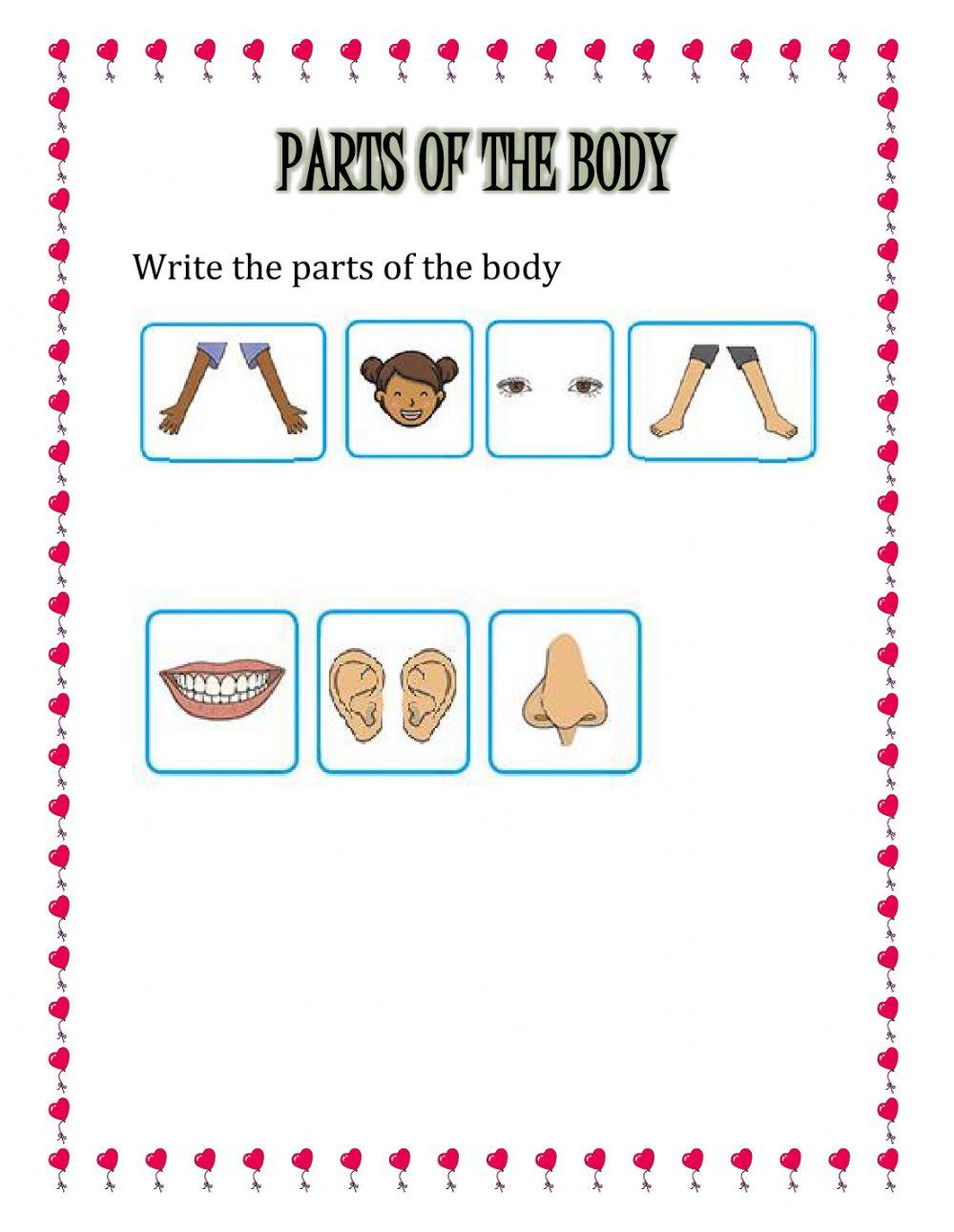 This-that, parts of the body, opposites, has-doesn't have