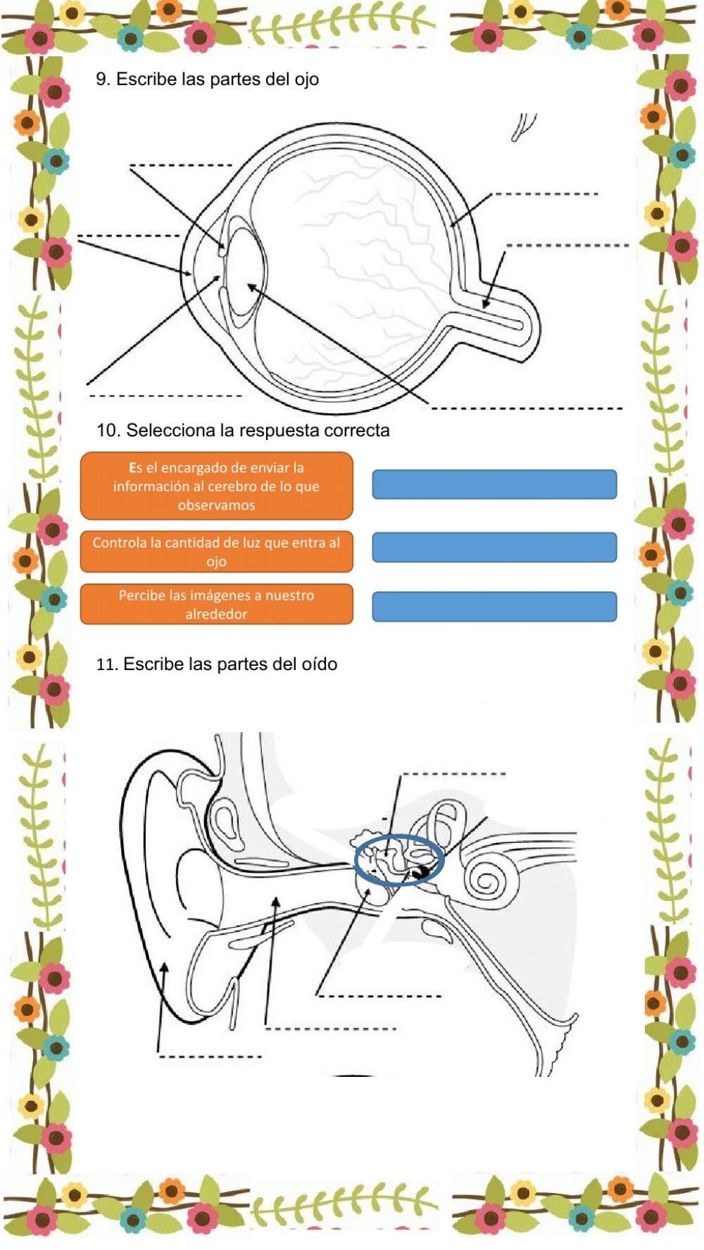 Bimestral de ciencias