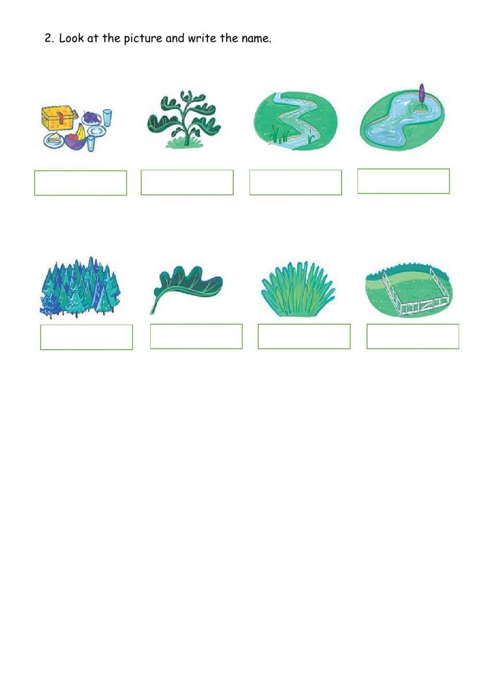 A day in the country