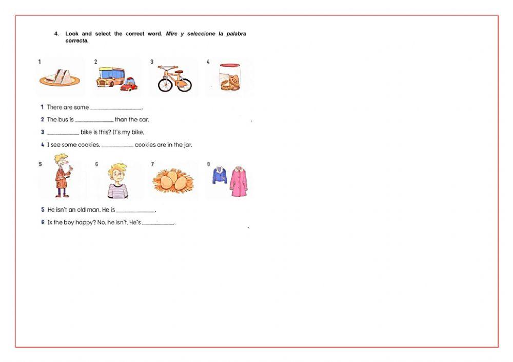 Present Simple Exercise 4