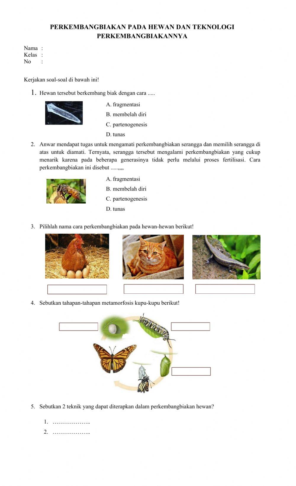 Perkembangbiakan pada Hewan dan Teknologinya