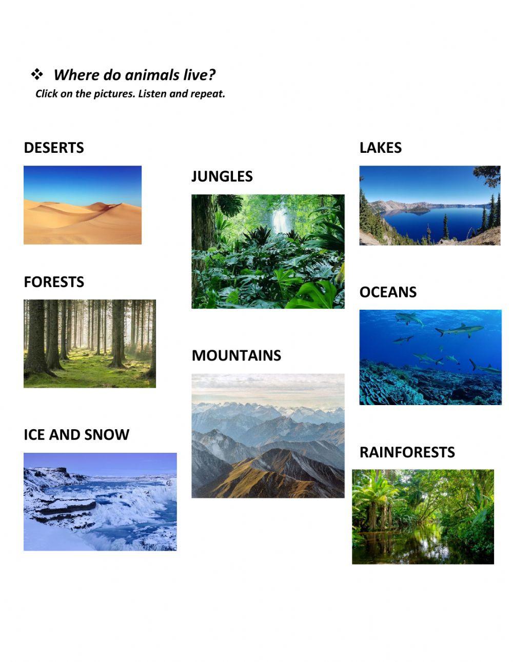 Animals and habitats