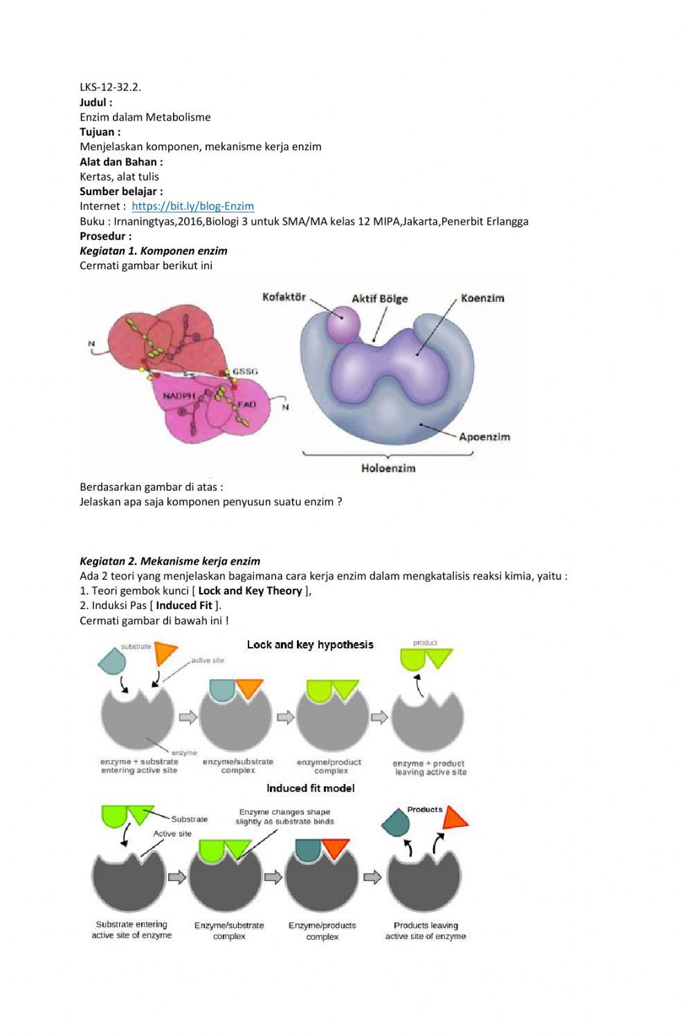 Enzim dalam Metabolisme