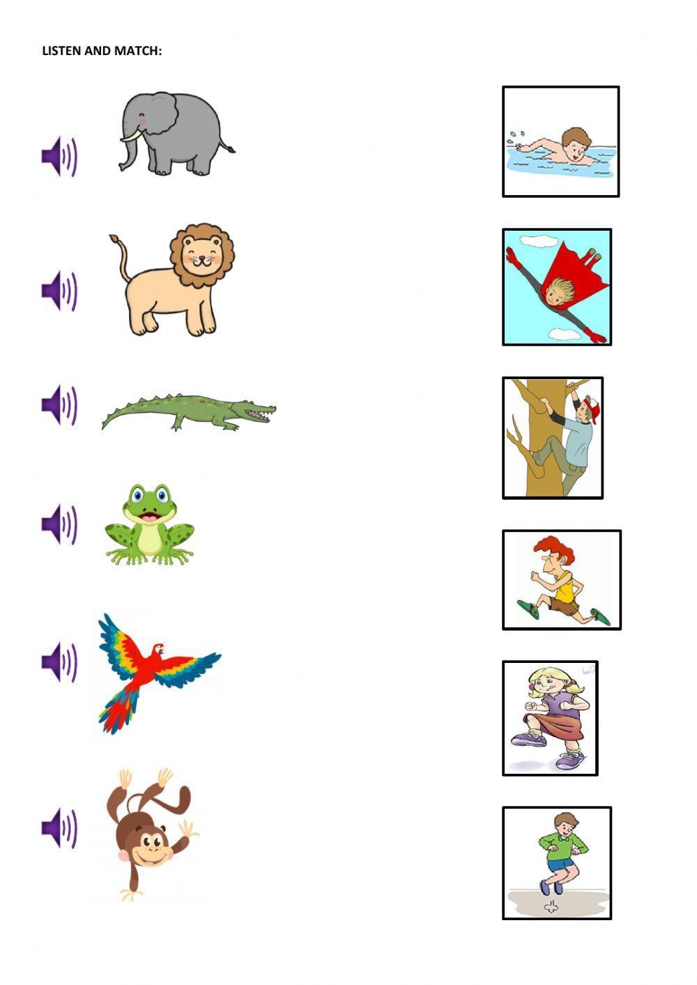 Jungle animals Jungle animals