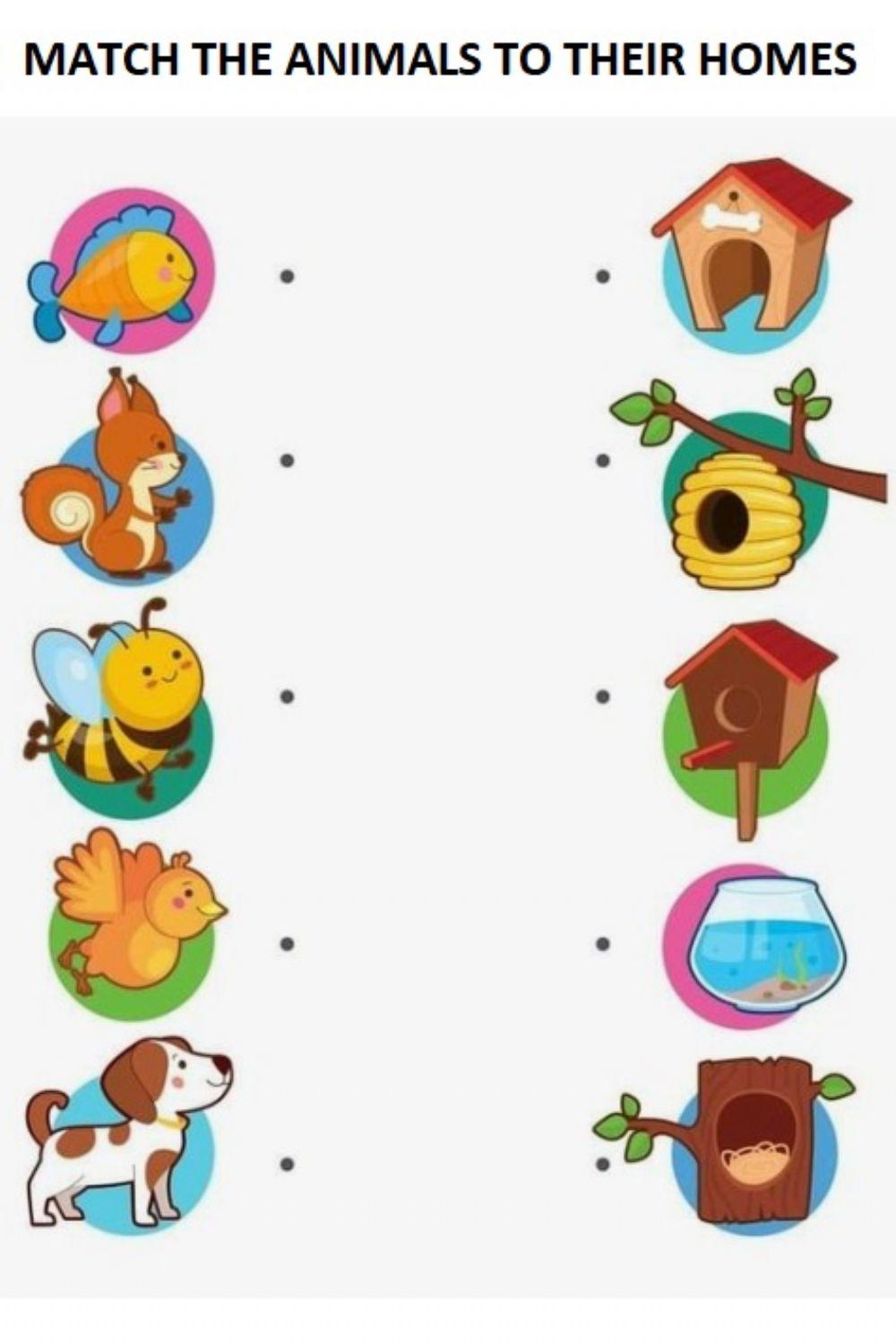 Matching animal homes Matching animal homes
