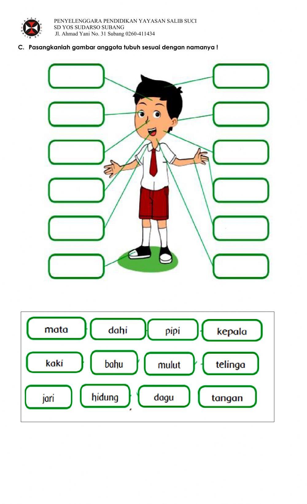 Ulangan Bahasa Indonesia Tema 1