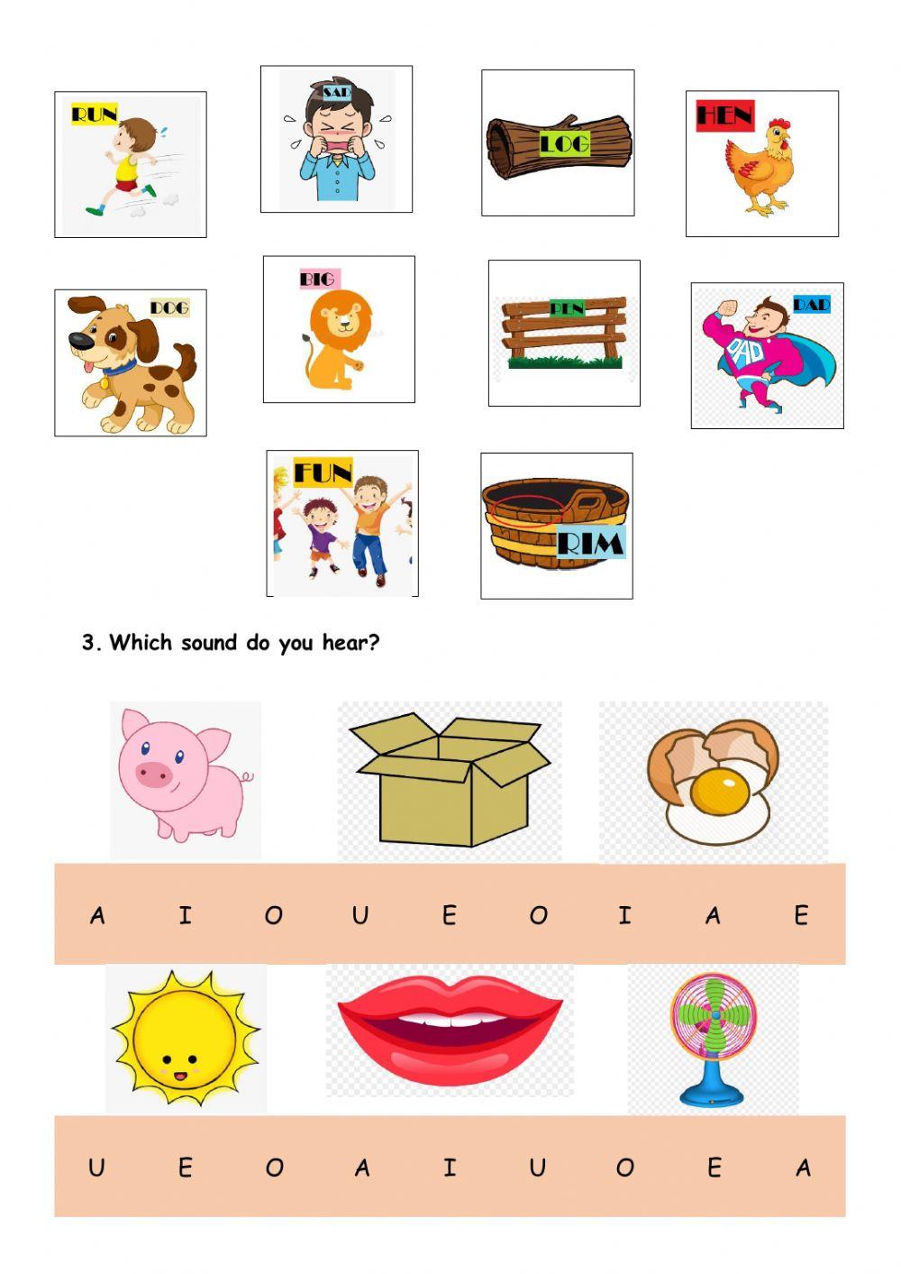 Phonics: Story -Meg-