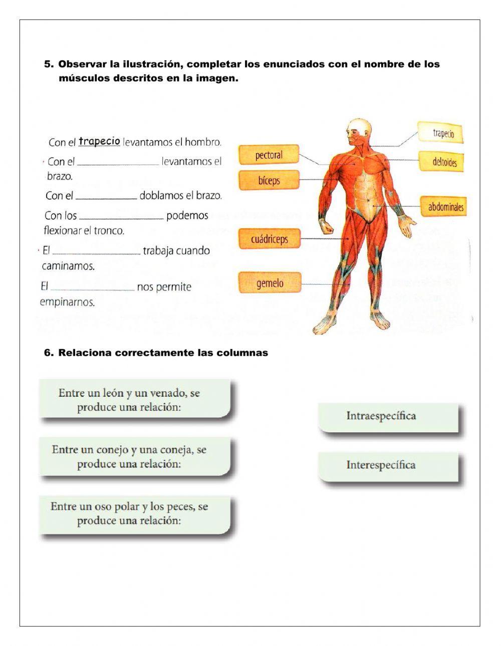 Taller Evaluativo Tercer Periodo Tercero