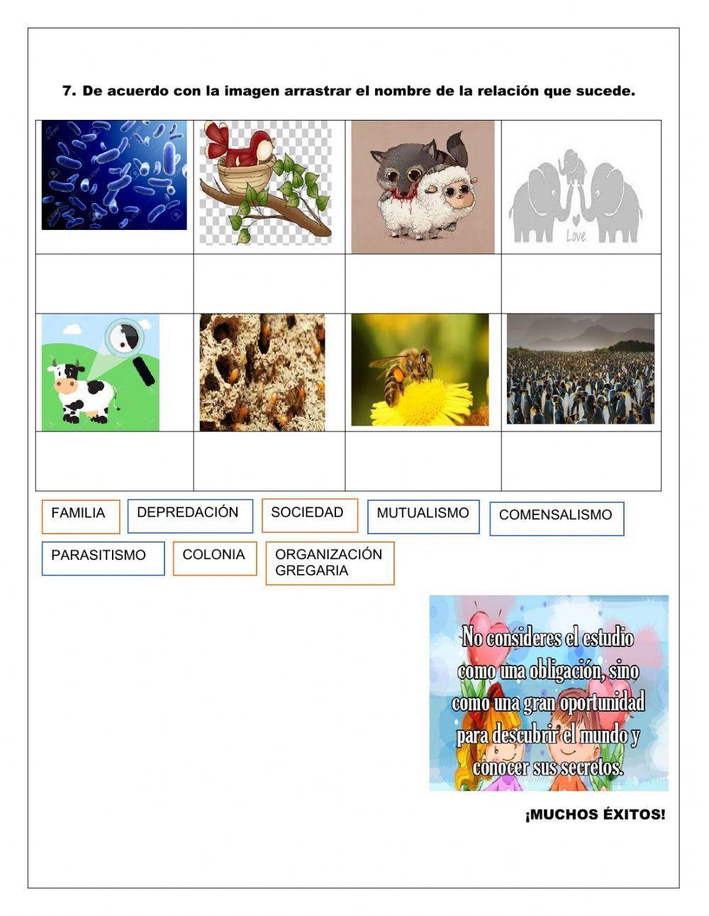 Taller Evaluativo Tercer Periodo Tercero
