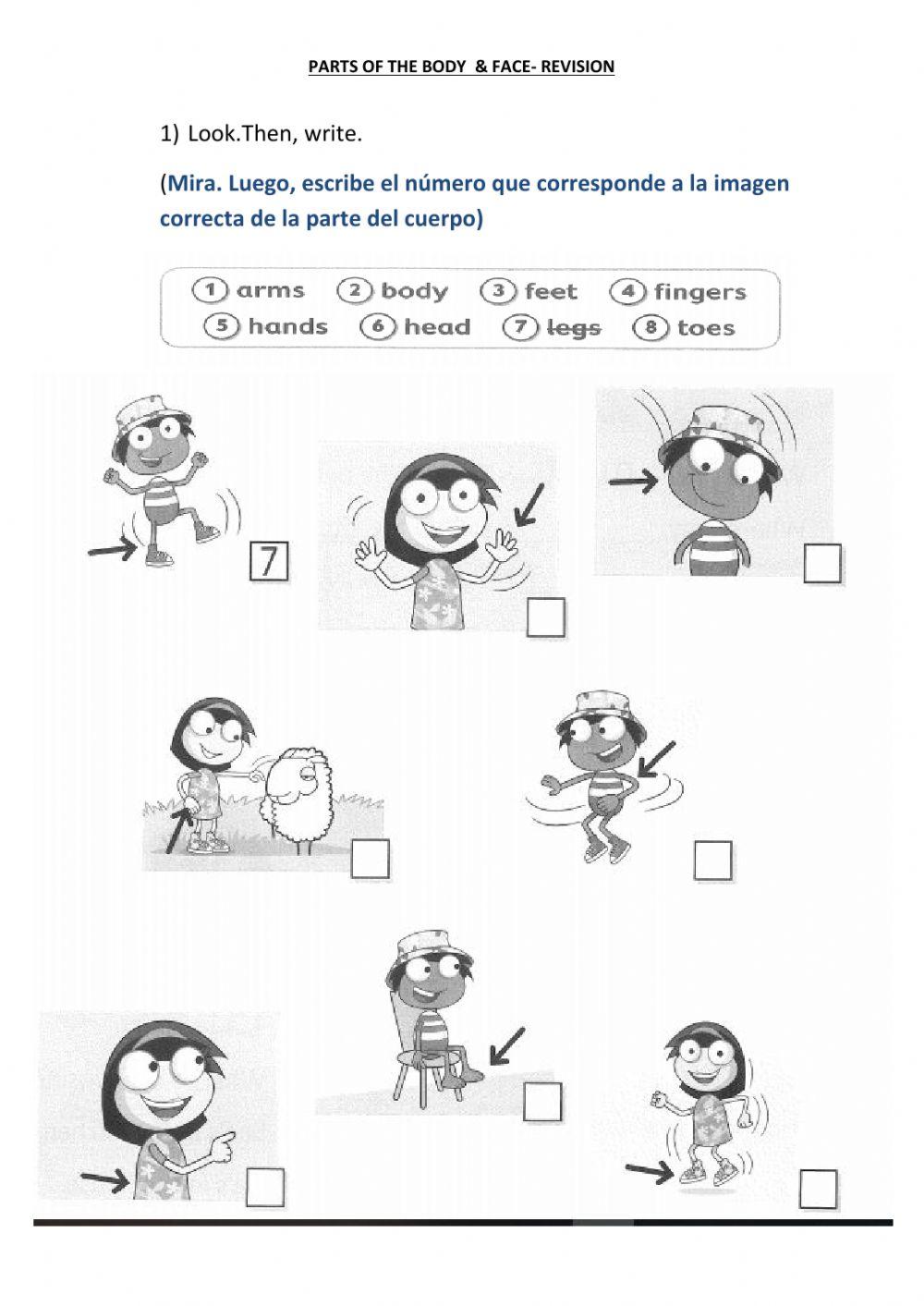 Parts of the body and face
