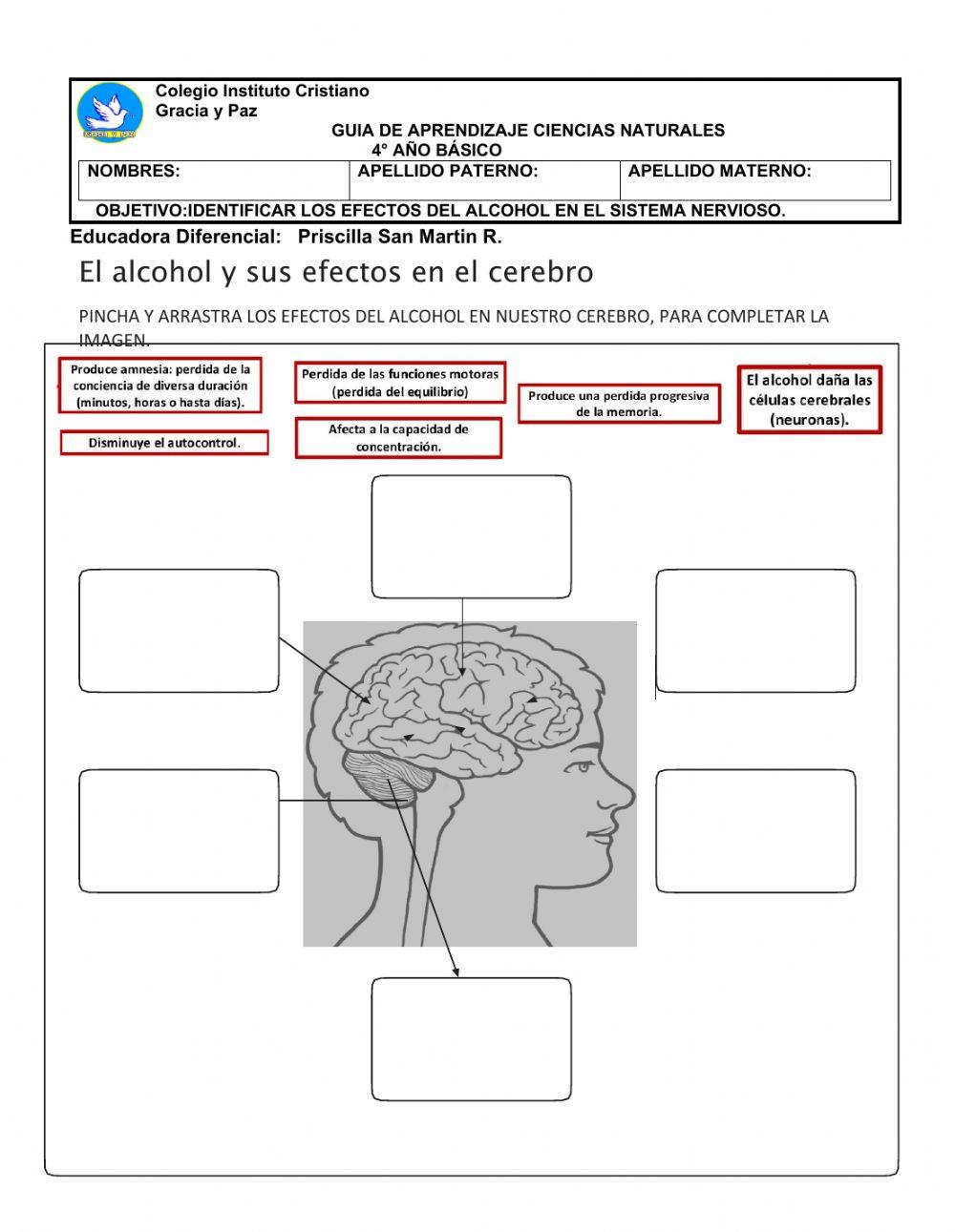 GUIA: Efectos del alcohol en el sistema nervioso