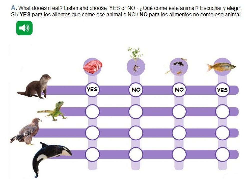Animals - Food - Simple Present: Questions