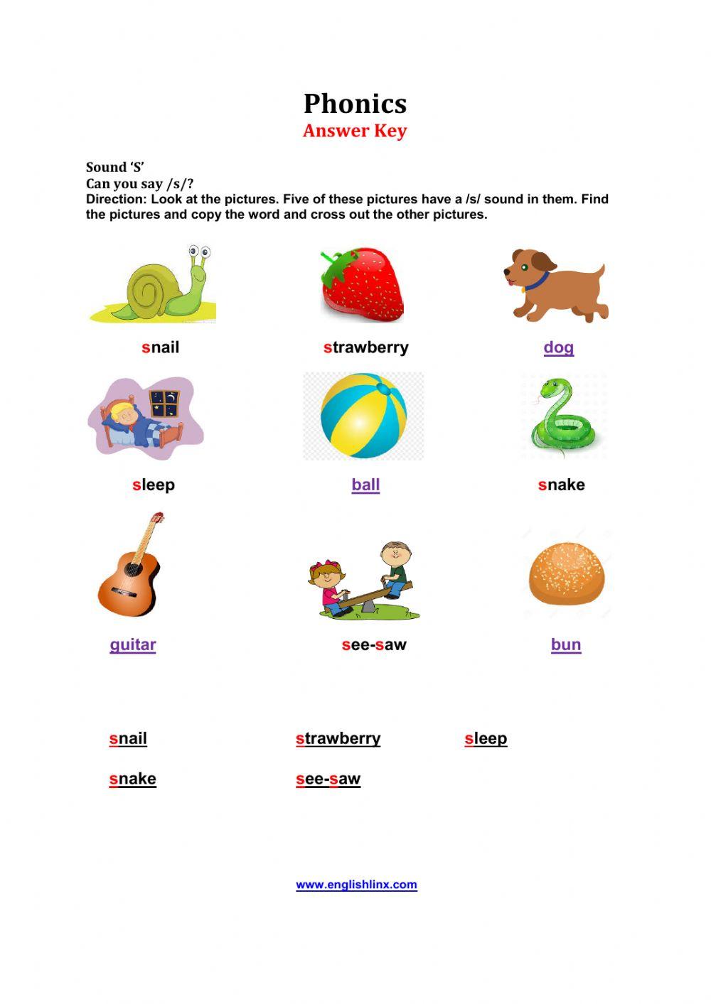 Sound S Phonics worksheet Live Worksheets