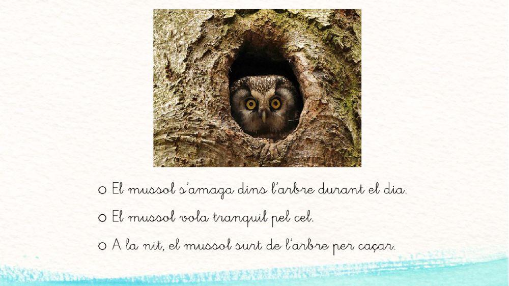 Lectura frases 1 Lectura frases 1