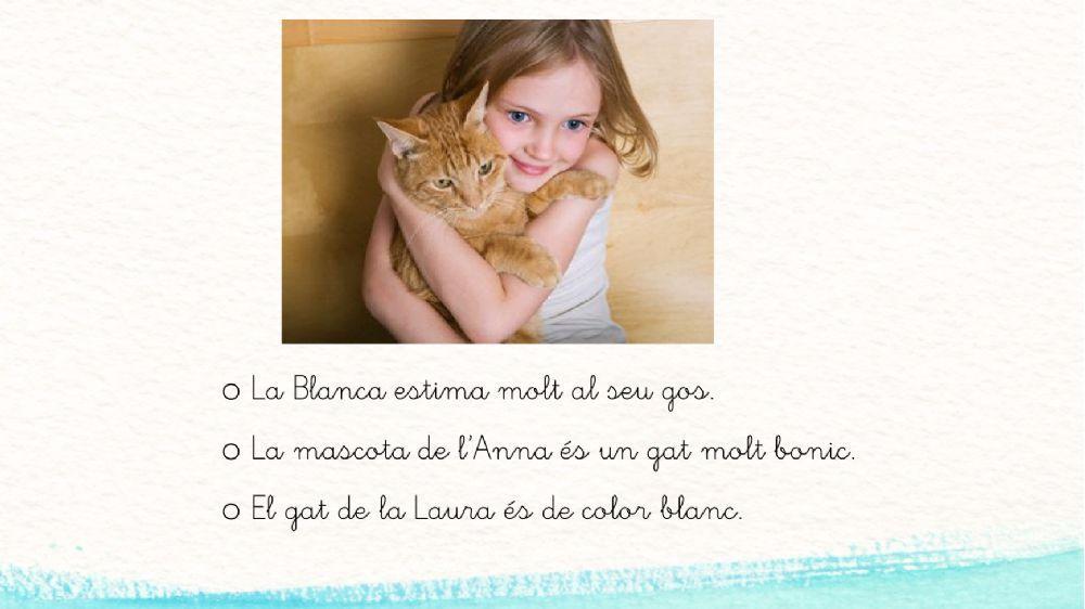 Lectura frases 3 Lectura frases 3