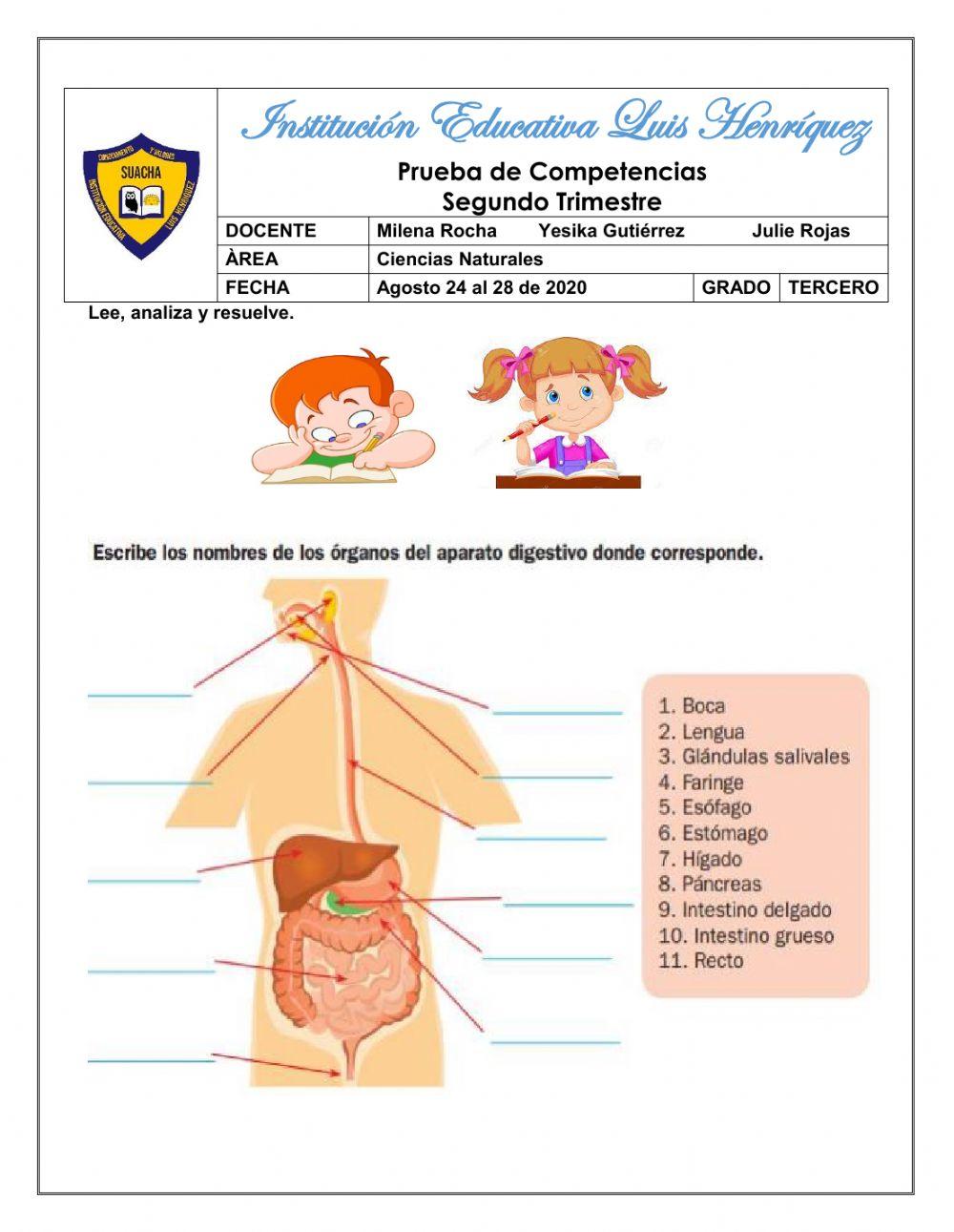 Evaluación de Ciencias Naturales