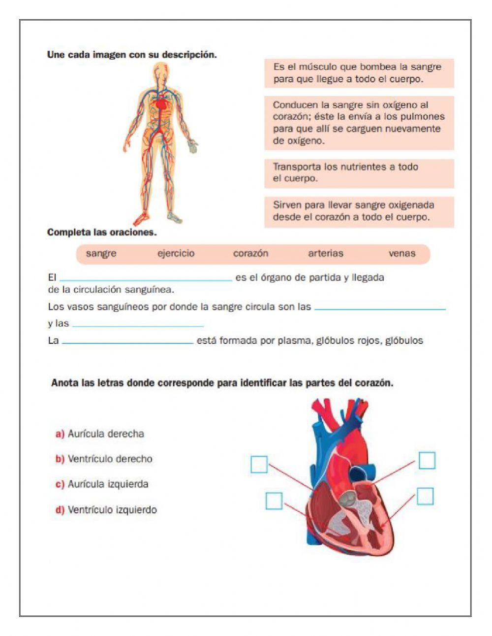 Evaluación de Ciencias Naturales