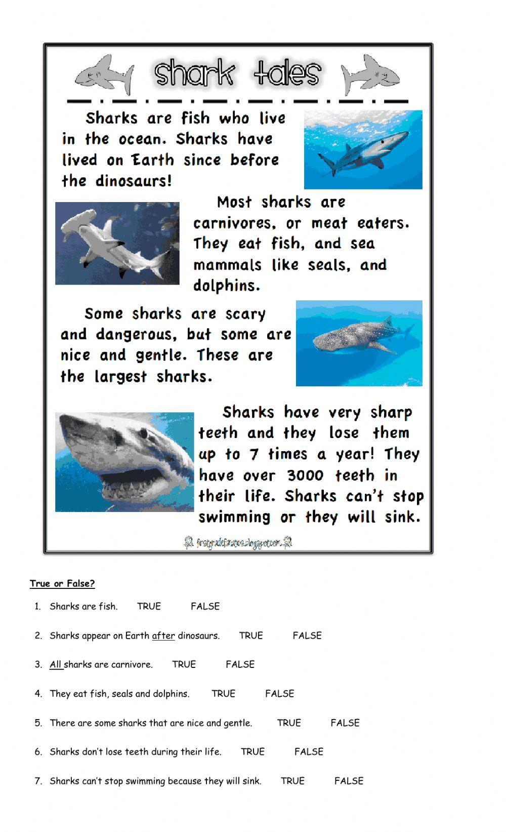Sharks exercise | Live Worksheets