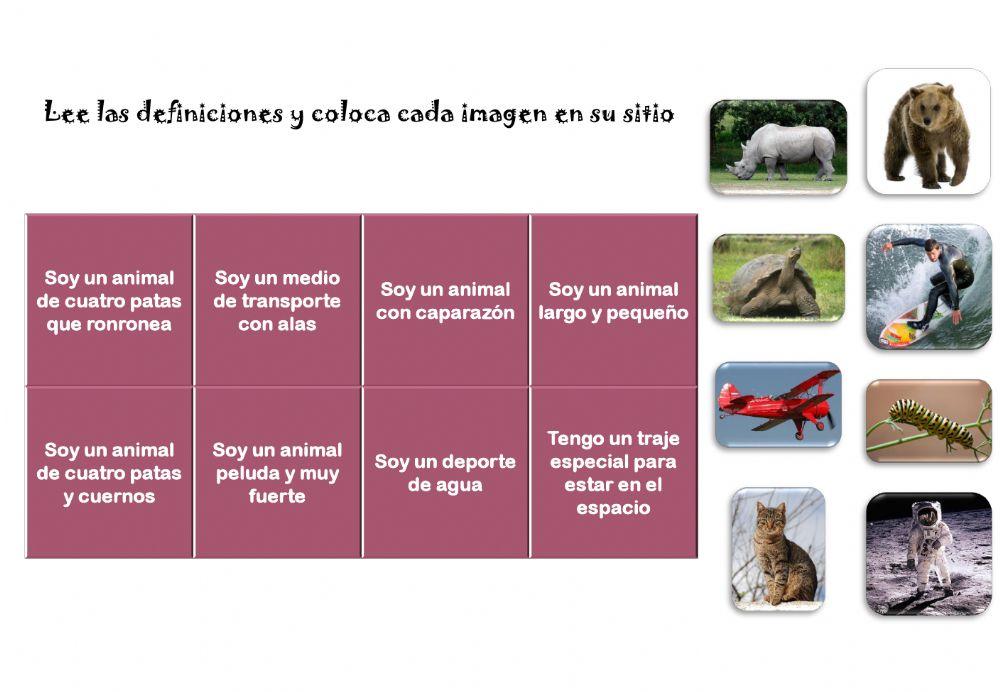 Lee y coloca en su lugar