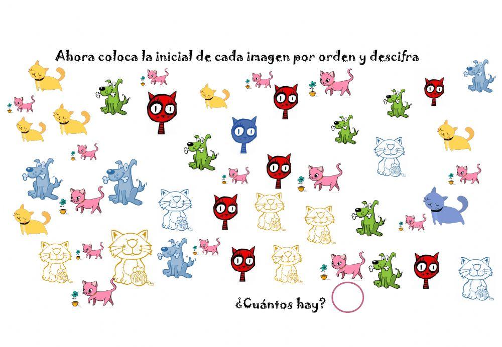 Lee y coloca en su lugar