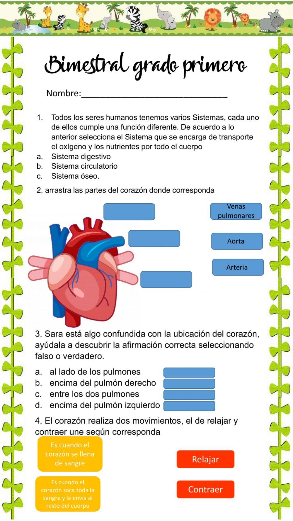 Bimestral de ciencias