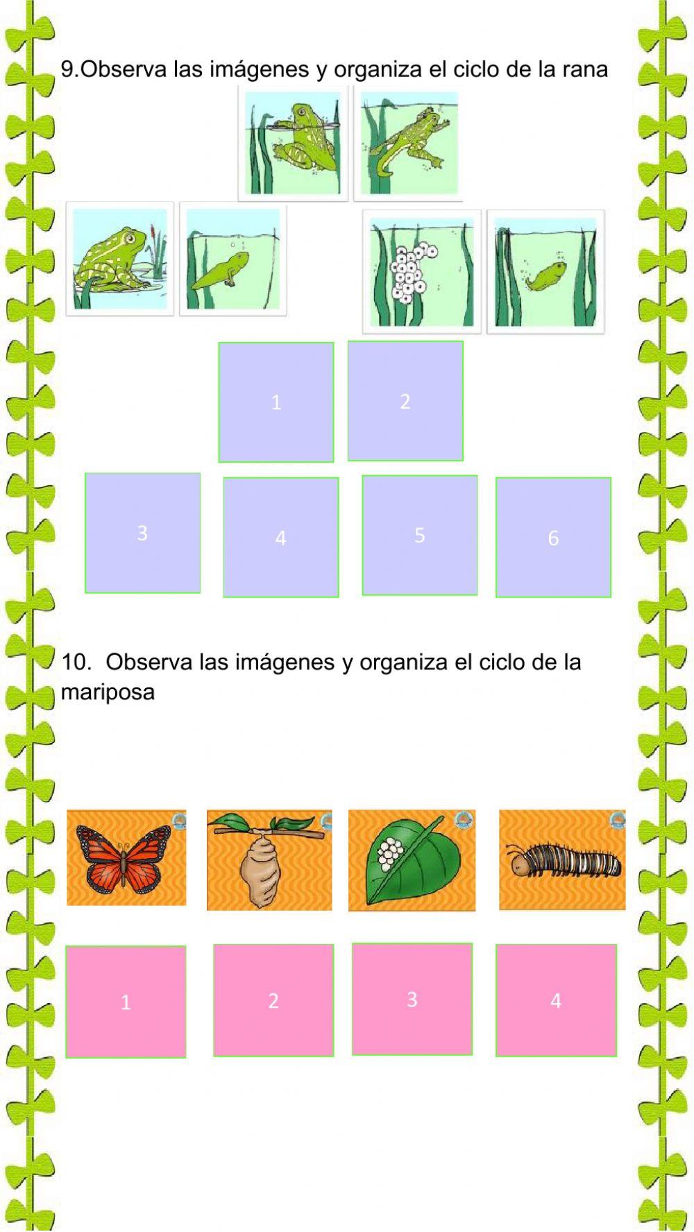 Bimestral de ciencias