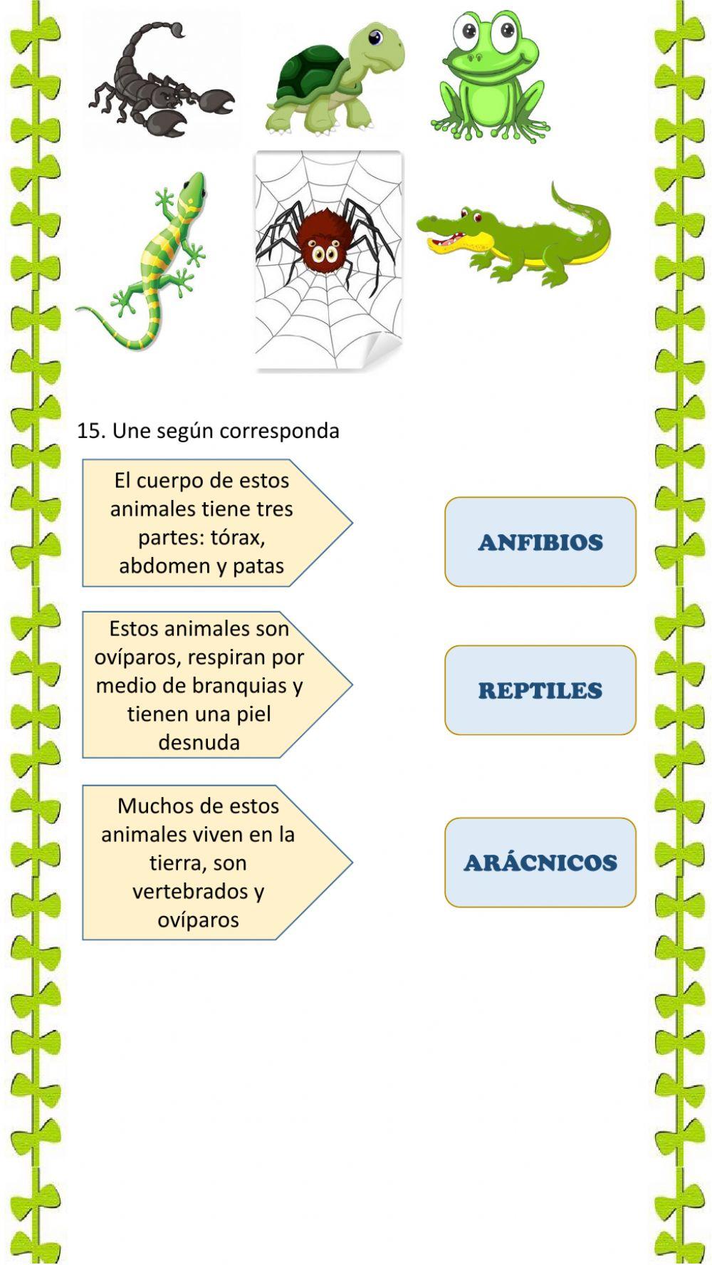 Bimestral de ciencias