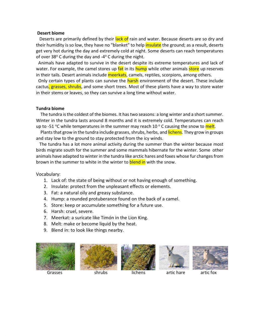 Tundra and Desert Biome
