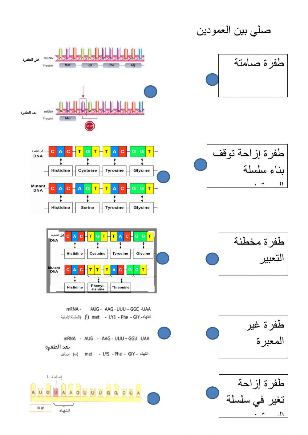 الطفرة الجينية