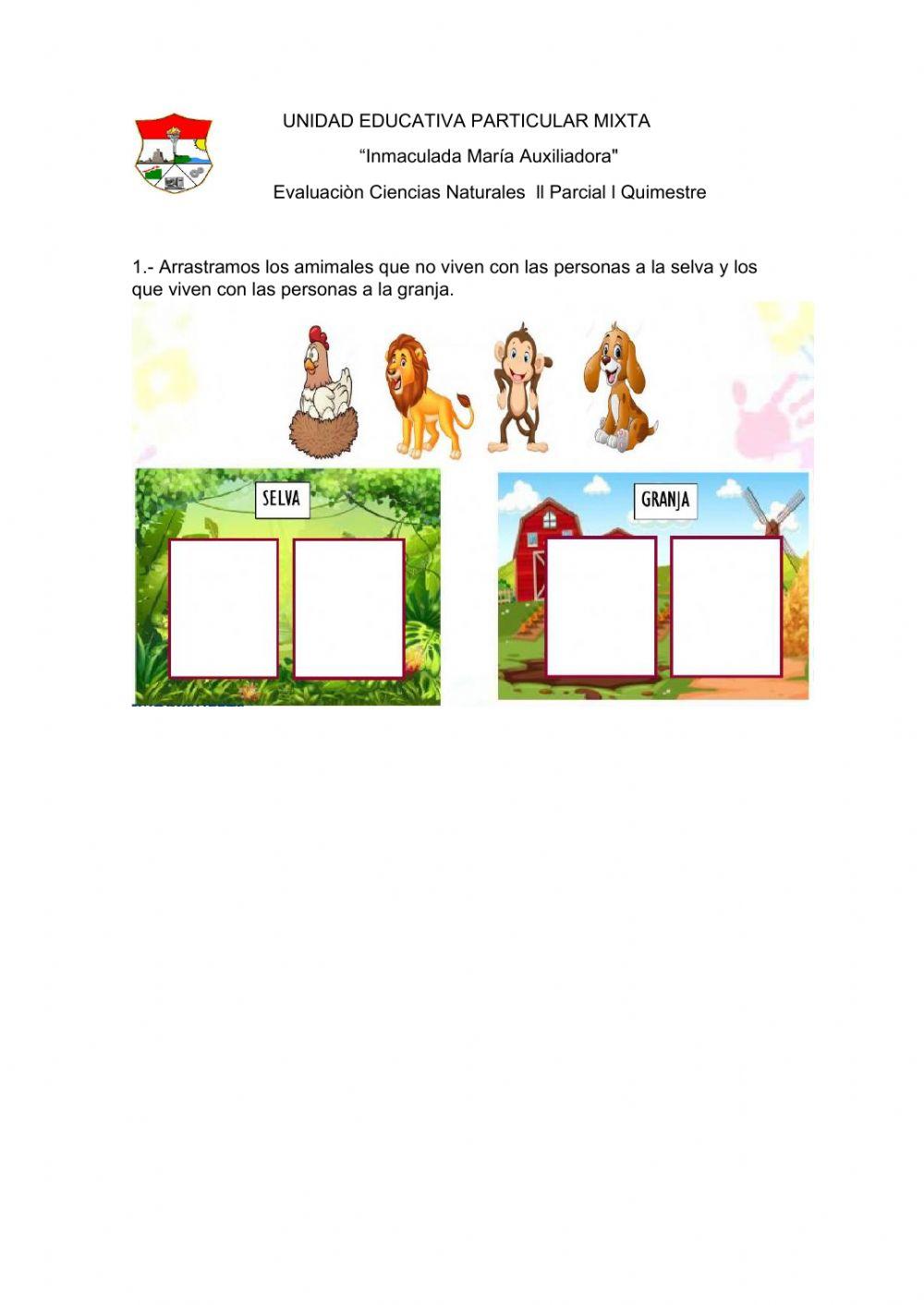 Evaluación ll Parcial