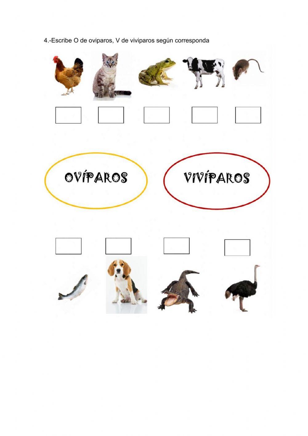 Evaluación ll Parcial