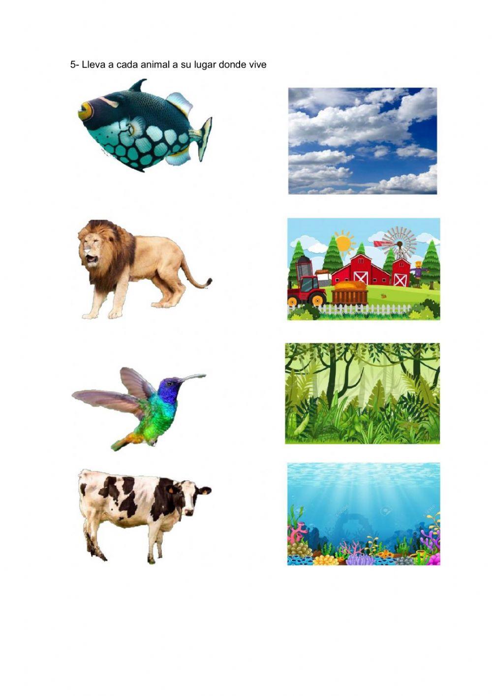 Evaluación ll Parcial