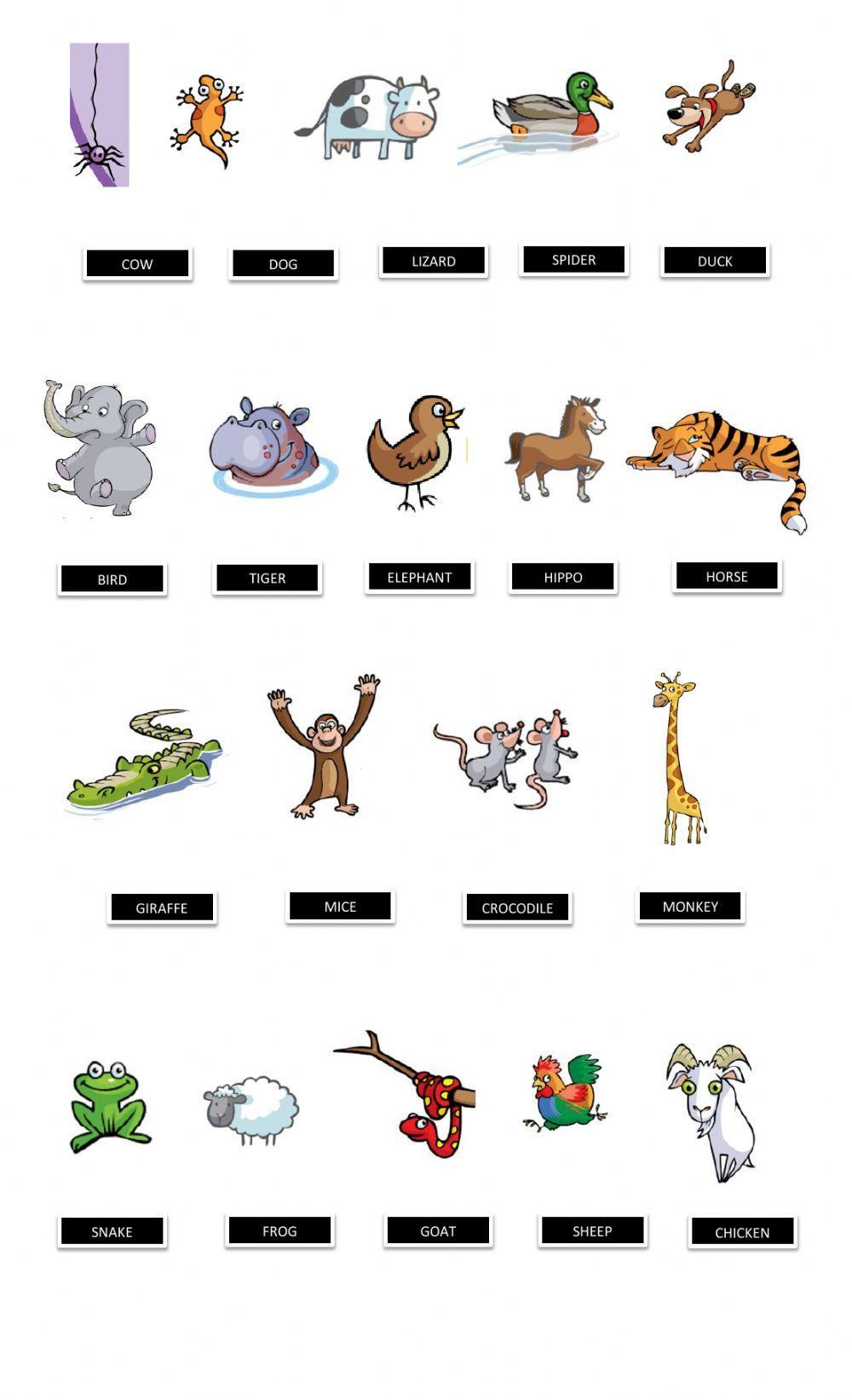 Animals Match (Starters Cambridge vocabulary)