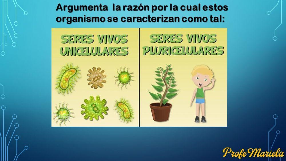 Organismos unicelulares y pluricelulares