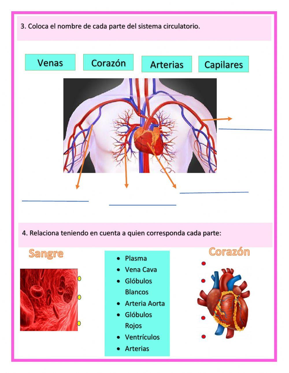Socialización de Saberes de Naturales