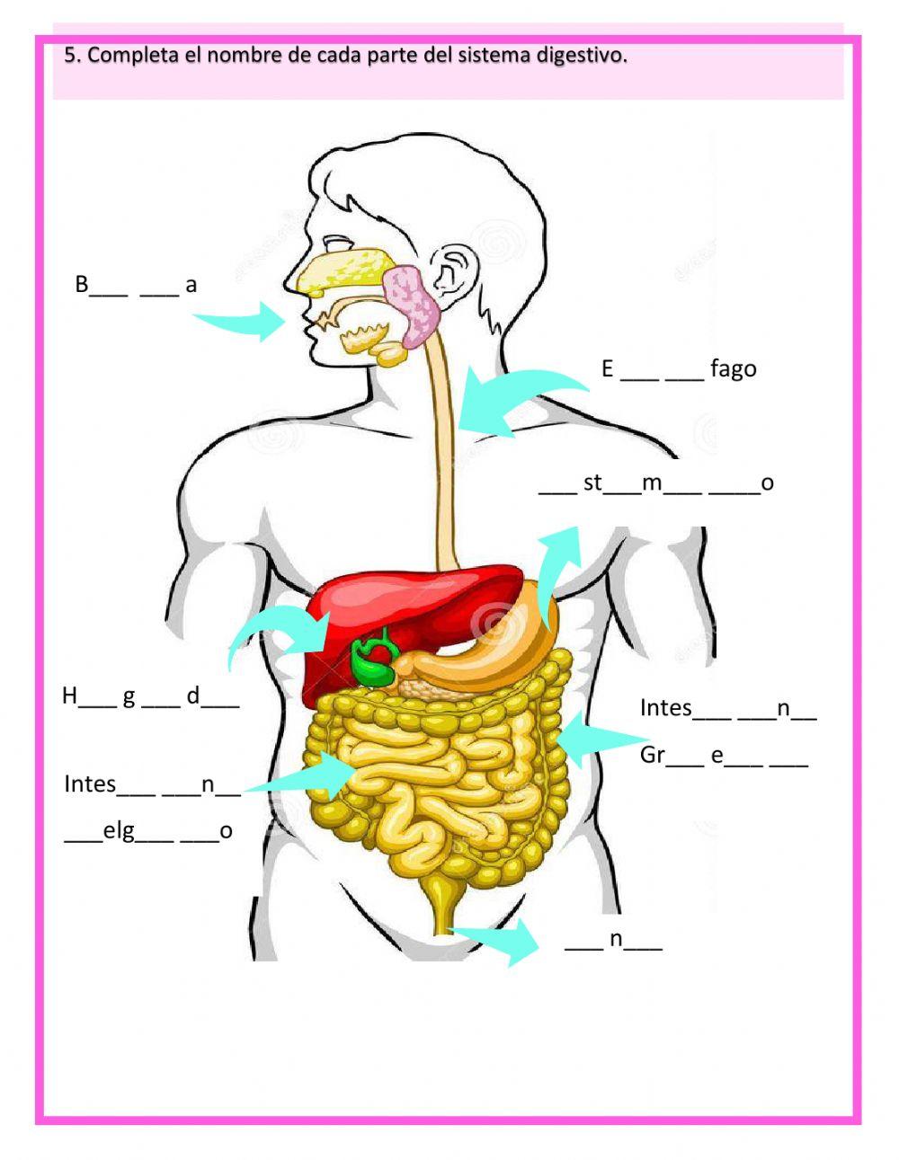 Socialización de Saberes de Naturales