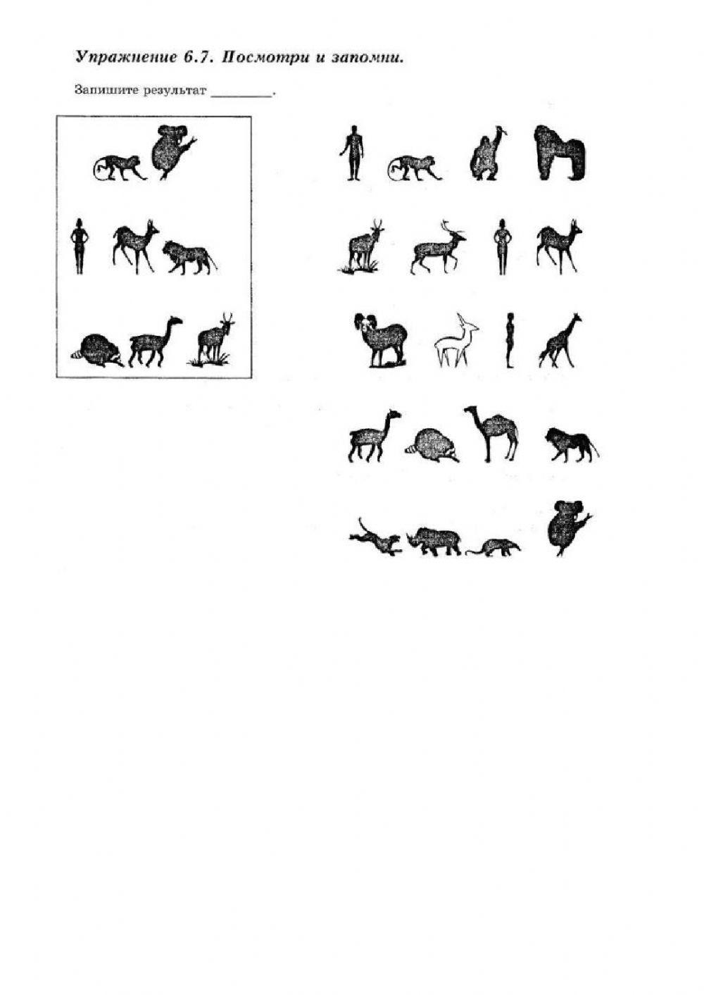 Посмотри и запомни worksheet | Live Worksheets