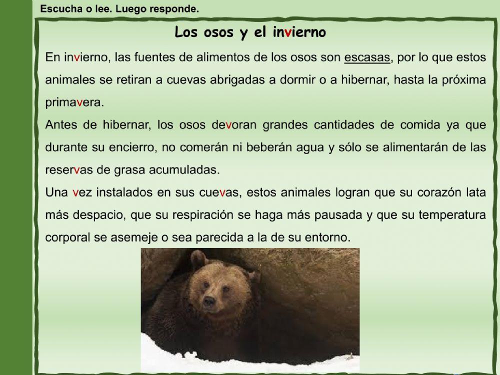 Letra V-comprensión