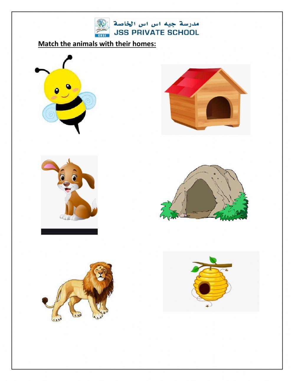 Animal worksheet