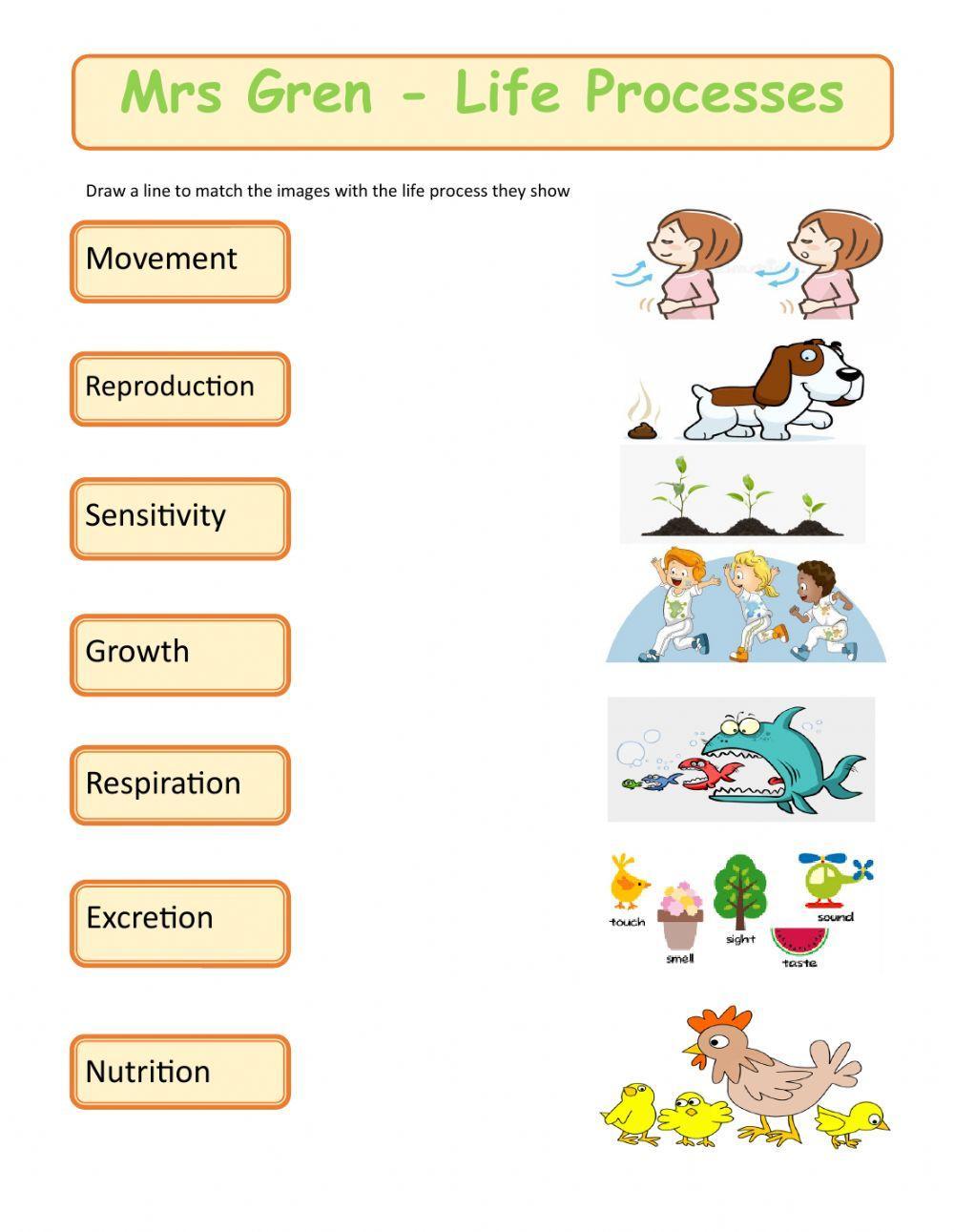 Mrs Gren - Life Processes