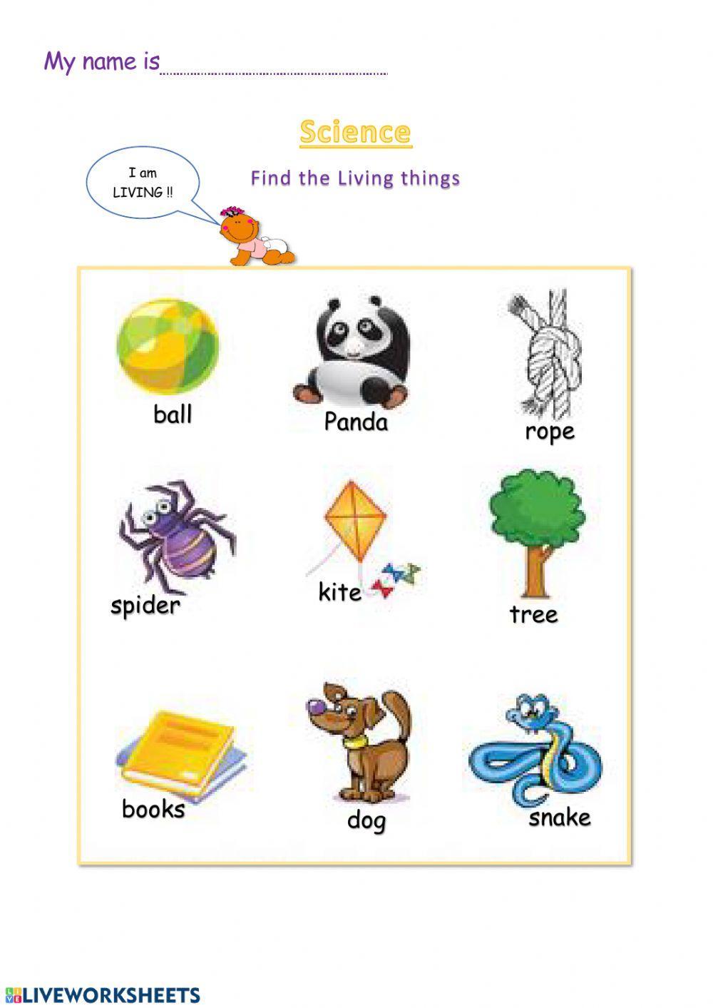 Find the living things