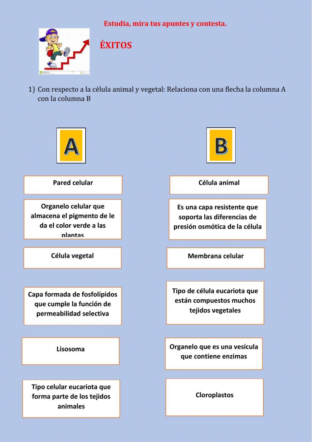 Tarea 10. Repaso Reinos y Célula