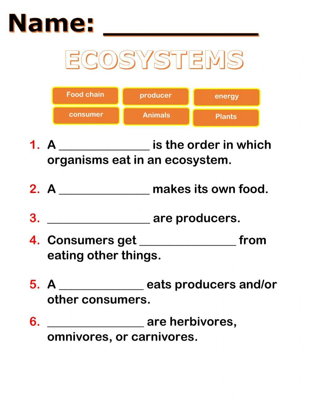 Food chain classwork