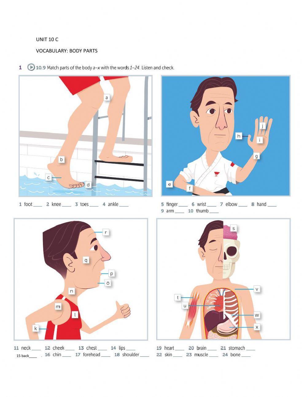 I 4 Unit 10 C  Vocabulary